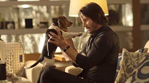 Not sure what to say when a friend’s dog dies? Here’s how to offer real comfort without awkward clichés. Thoughtful ways to support a grieving pet owner.