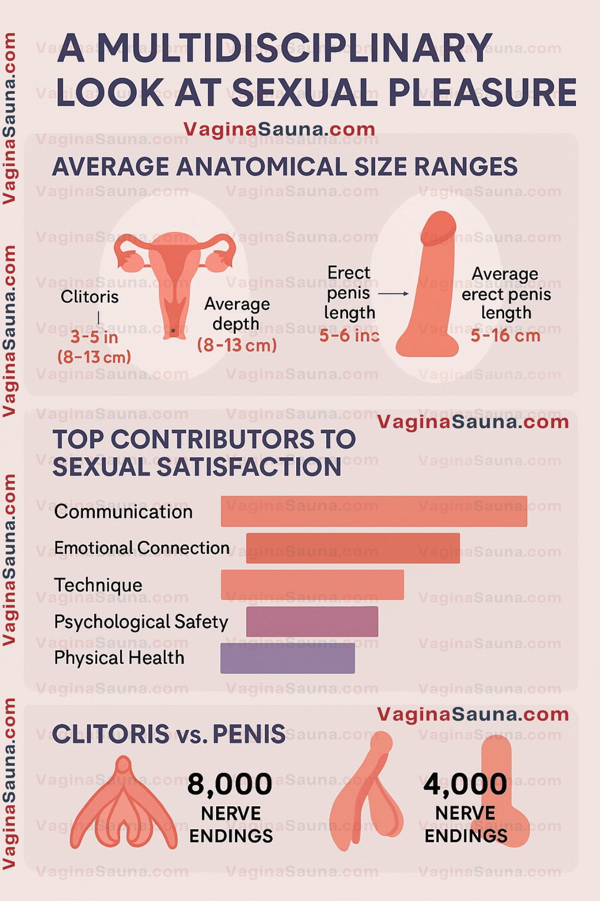 Infographic comparing clitoral and penile anatomy, average size ranges, and top psychological and relational factors influencing sexual satisfaction.