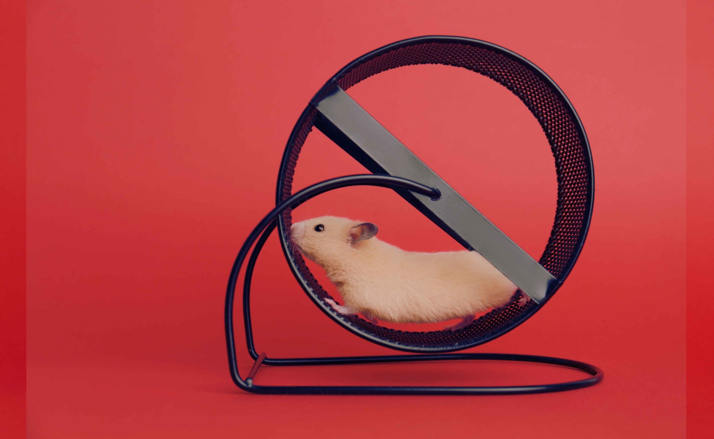Overthinking loop illustrated as a hamster running endlessly on a wheel, showing the danger of acting too soon.